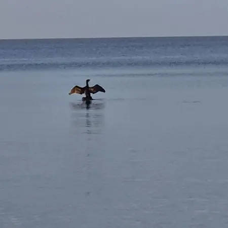 W Kolobrzegu Przy Promenadzie